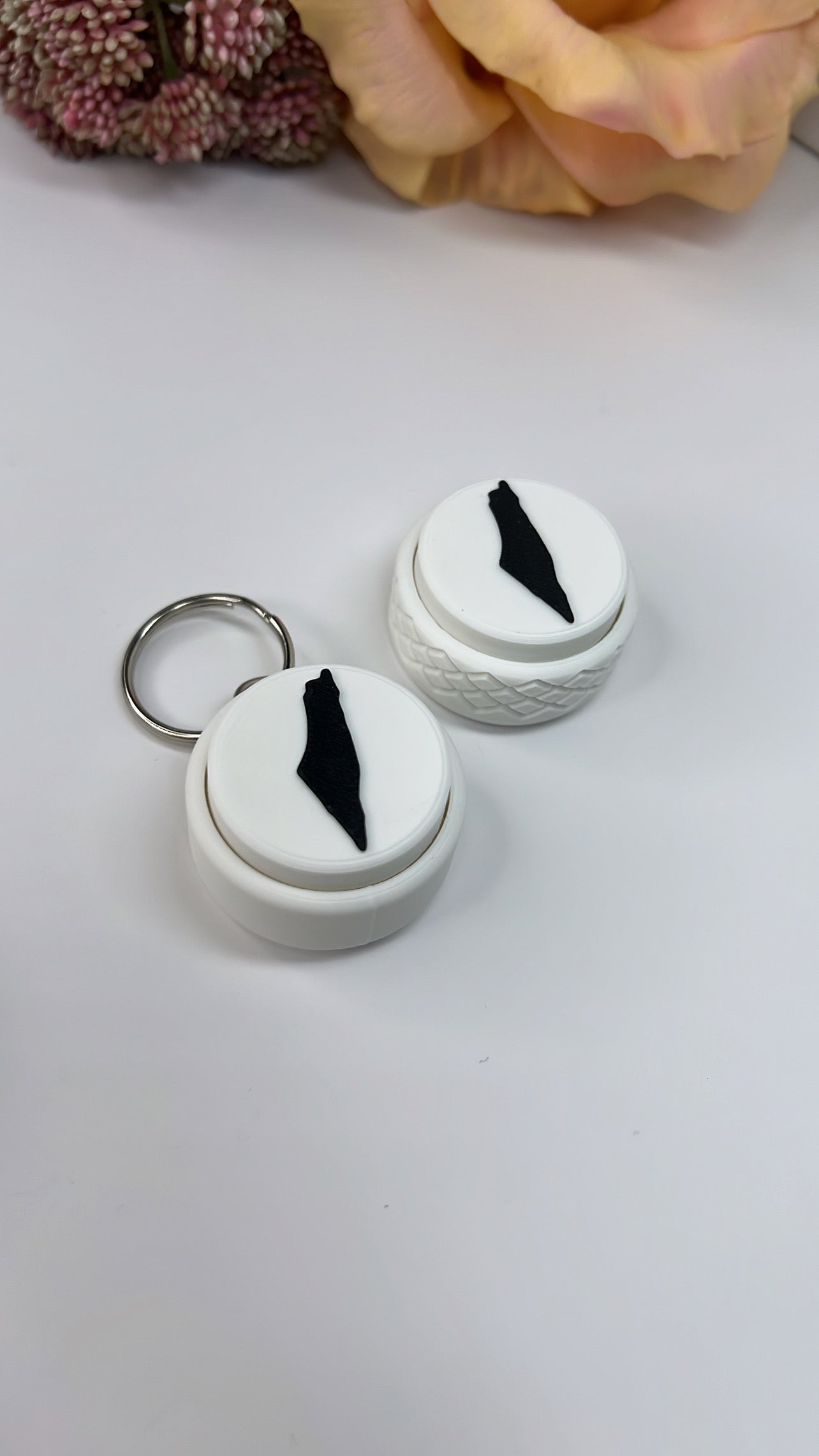 Falastine Map Clickers