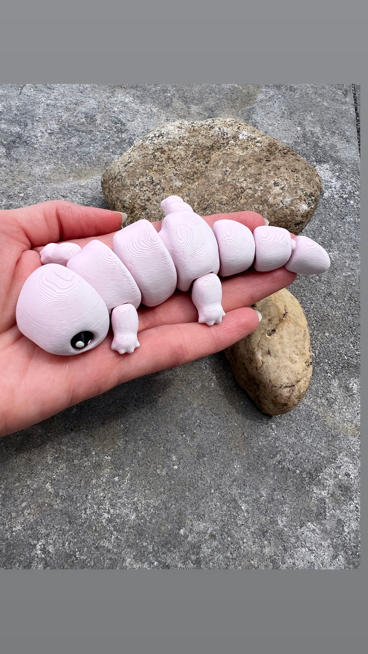FLEXI SALAMANDER