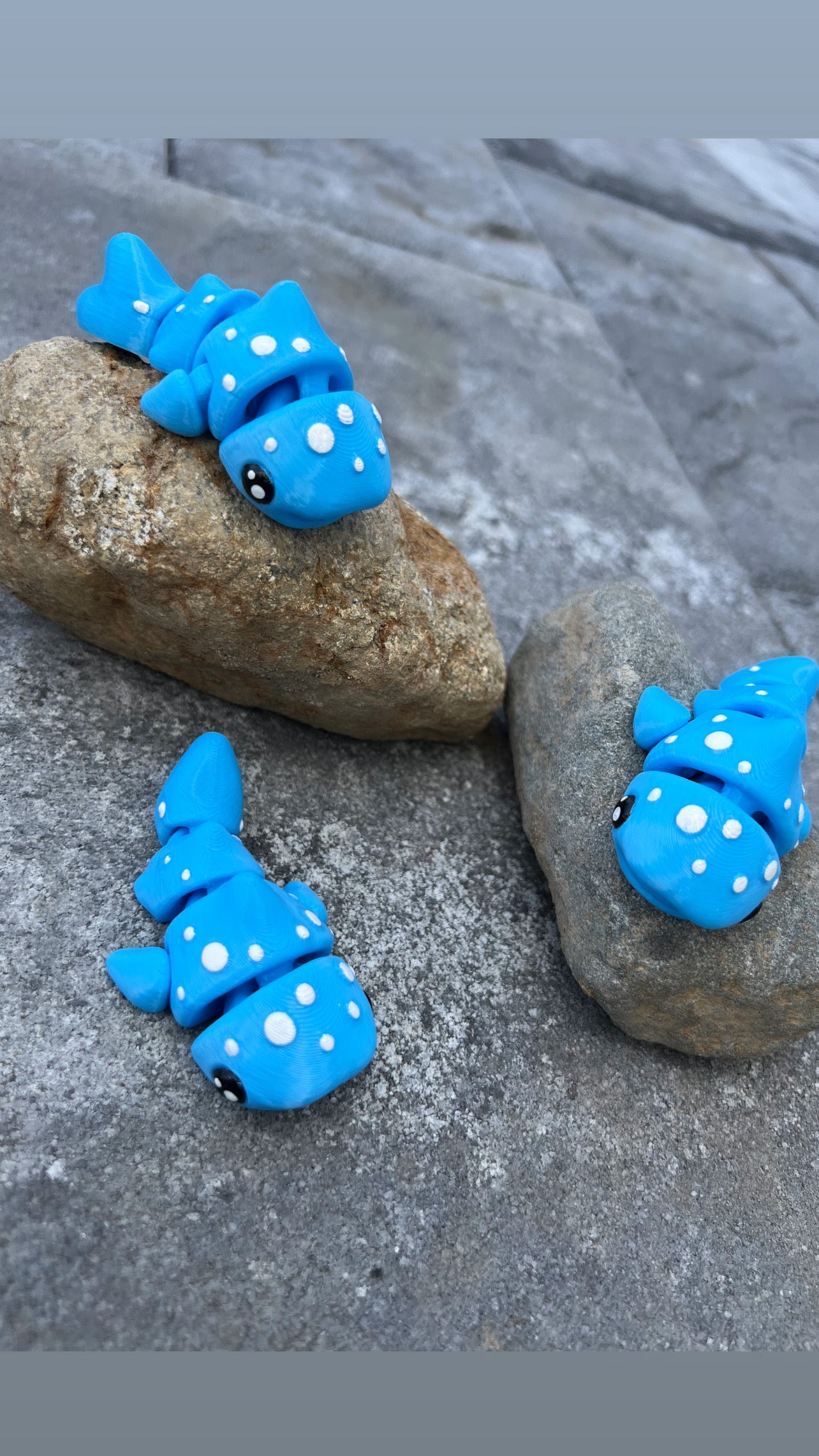 FLEXI WHALES & SHARKS